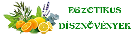 Egzotikus dísznövények Logo
